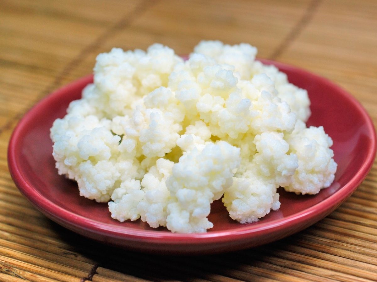 Los nódulos de kéfir se pueden reutilizar varias veces