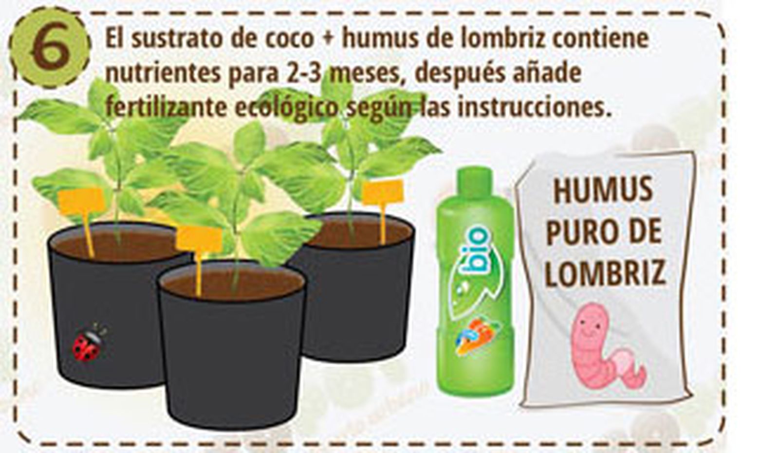 Siembre directa 6 Siembre directa 6