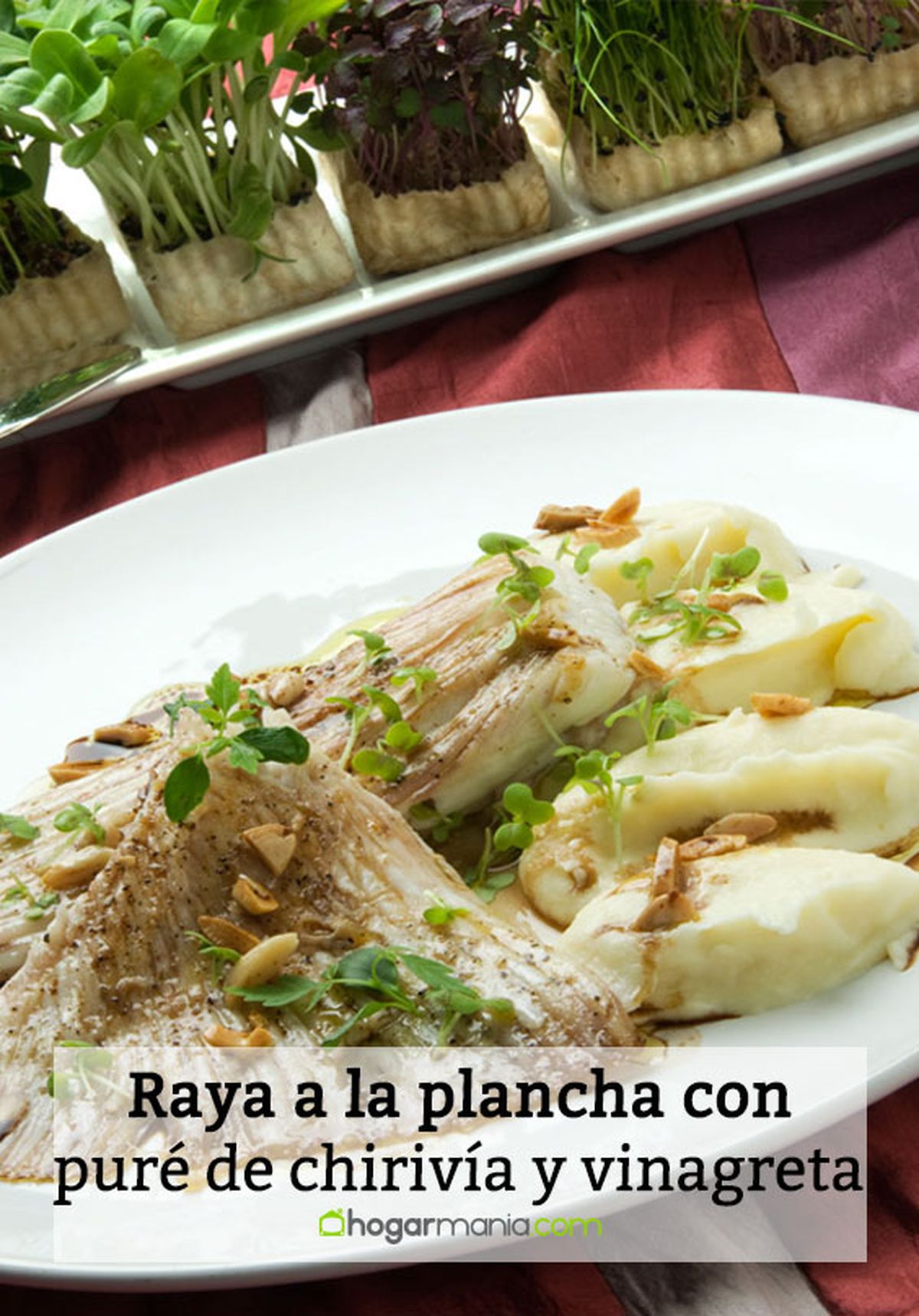 1294 raya a la plancha con pure de chirivia y vinagreta tibia pin
