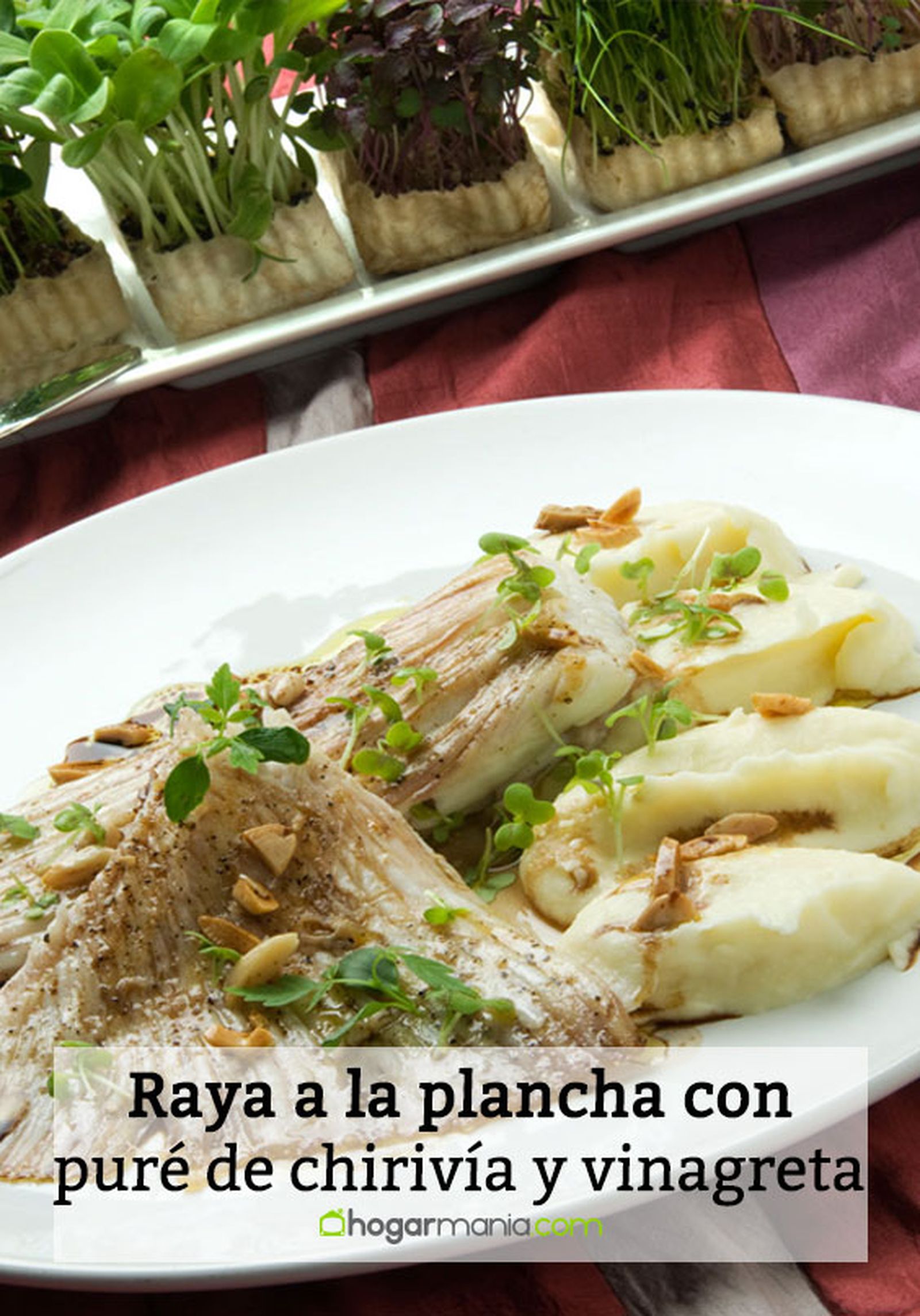 1294 raya a la plancha con pure de chirivia y vinagreta tibia pin 1294 raya a la plancha con pure de chirivia y vinagreta tibia pin