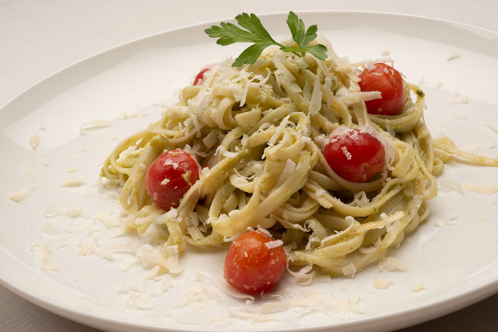 pasta aguacate xl