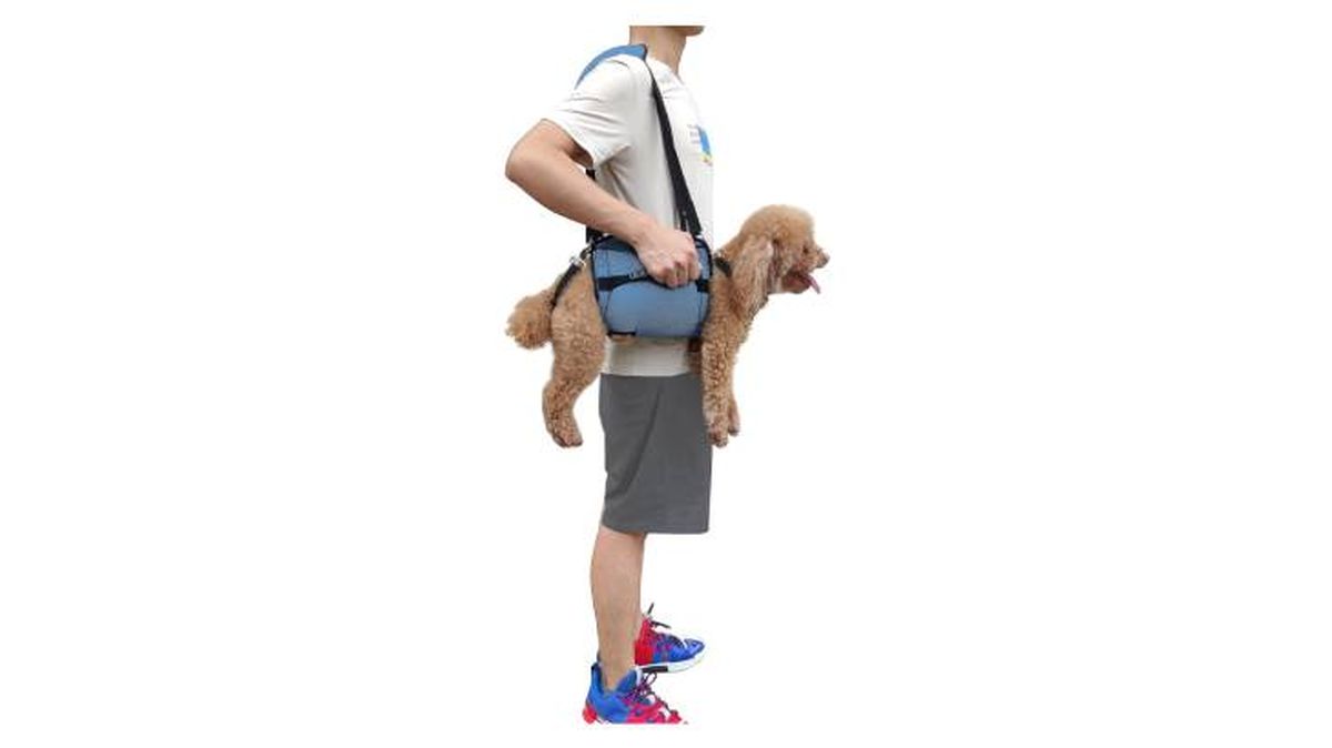 accesorios perros mayores arnes amazon