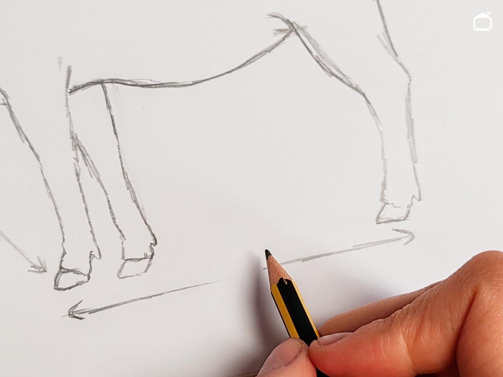 Paso cuatro para dibujar una vaca realista. Paso cuatro para dibujar una vaca realista.