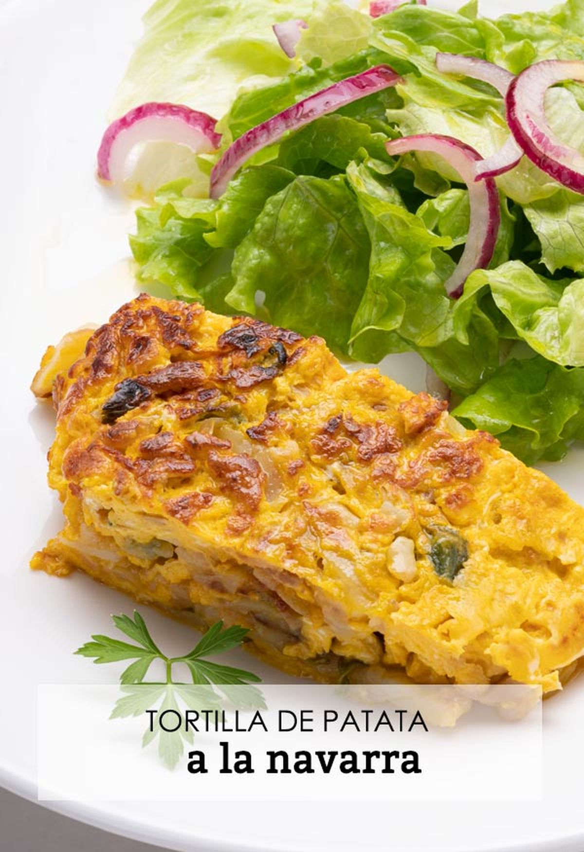 karl6633 tortilla navarra v