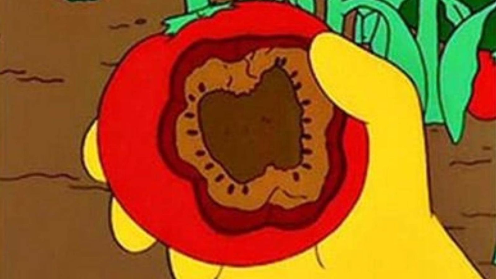 Tomacco: Mezcla de tomate y tabaco