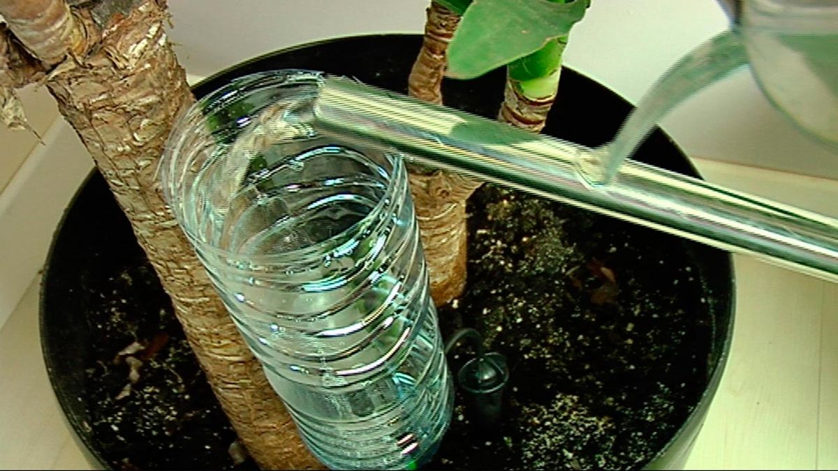 Colocar un sistema de riego por goteo paso 3