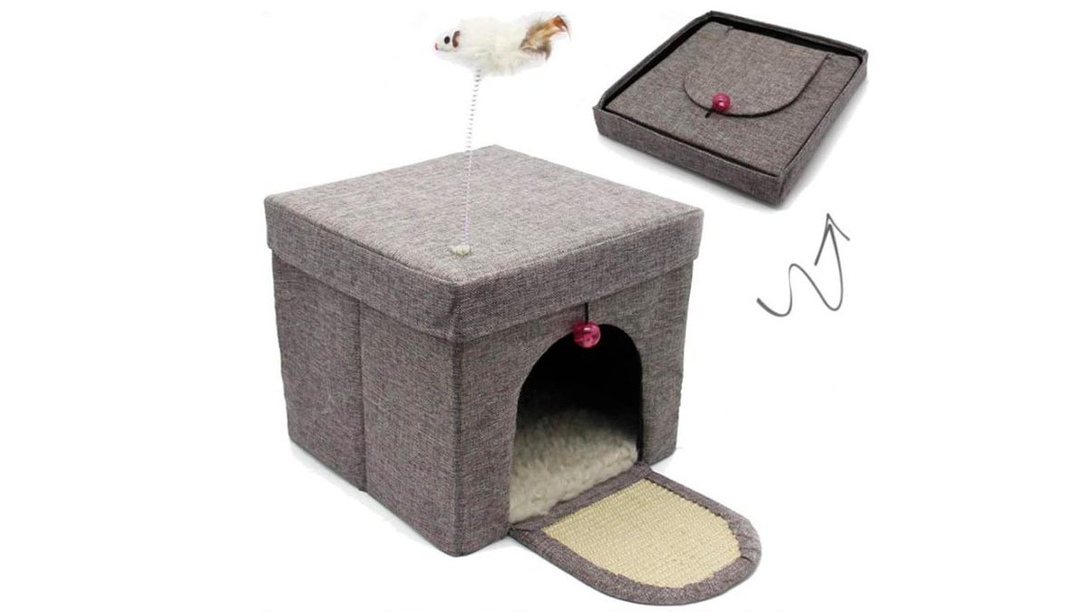 articulos mascotas felices 13 casa cueva gato