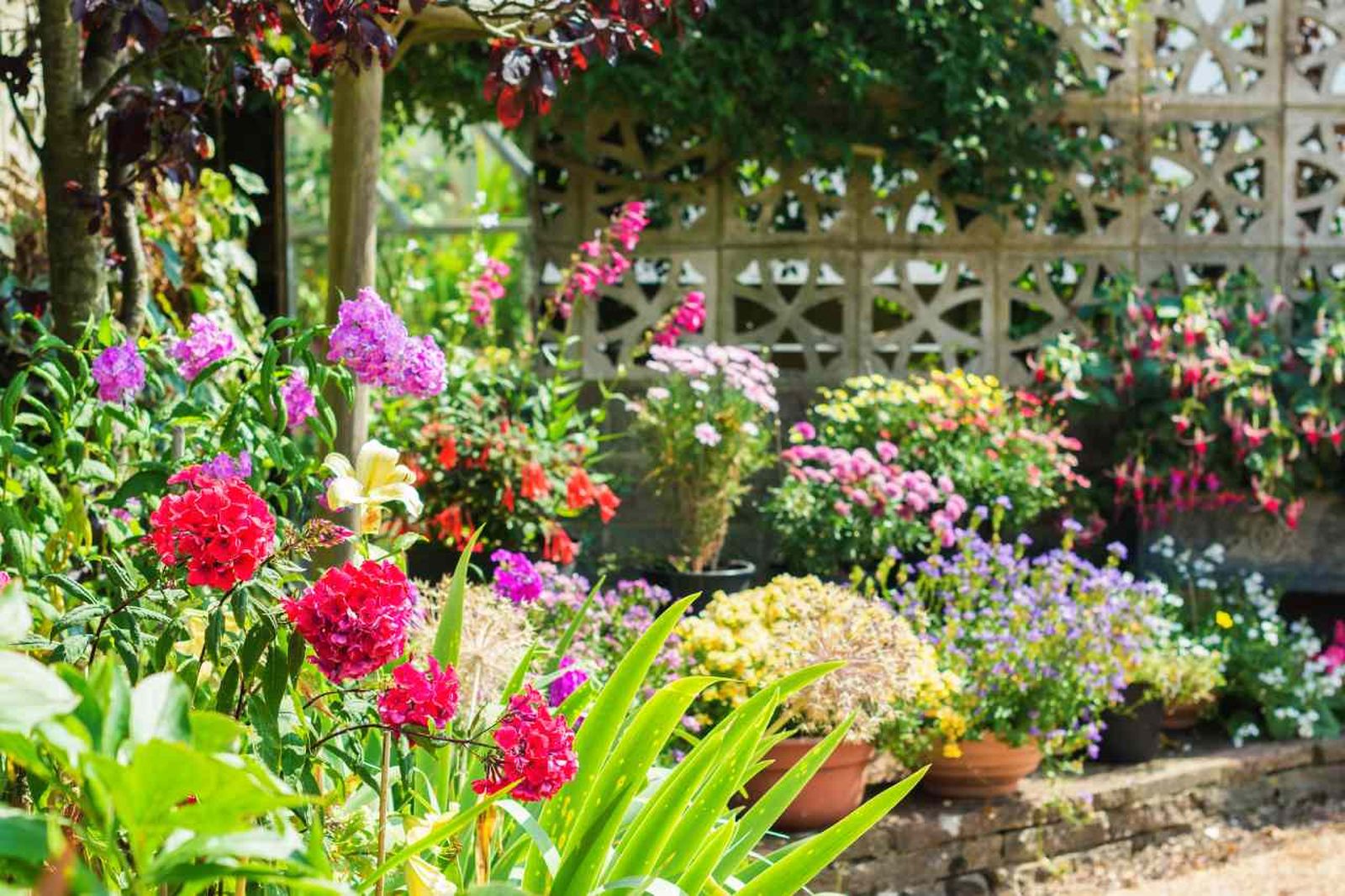 Escoger las plantas adecuadas es imprescindible para tener un jardín cuidado