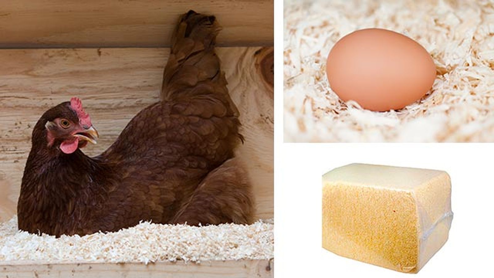 complementos ideales gallinero perfecto 6 viruta madera gallinas complementos ideales gallinero perfecto 6 viruta madera gallinas