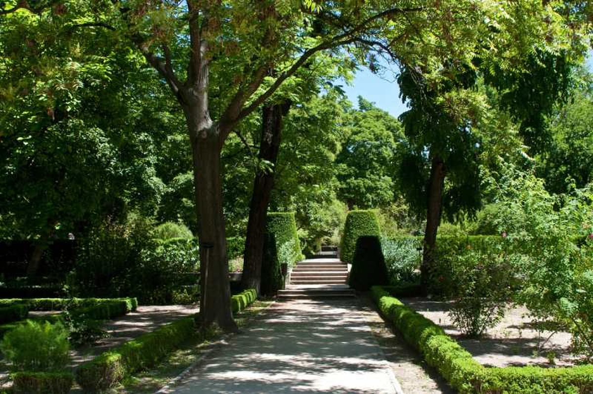 Real Jardín Botánico de Madrid