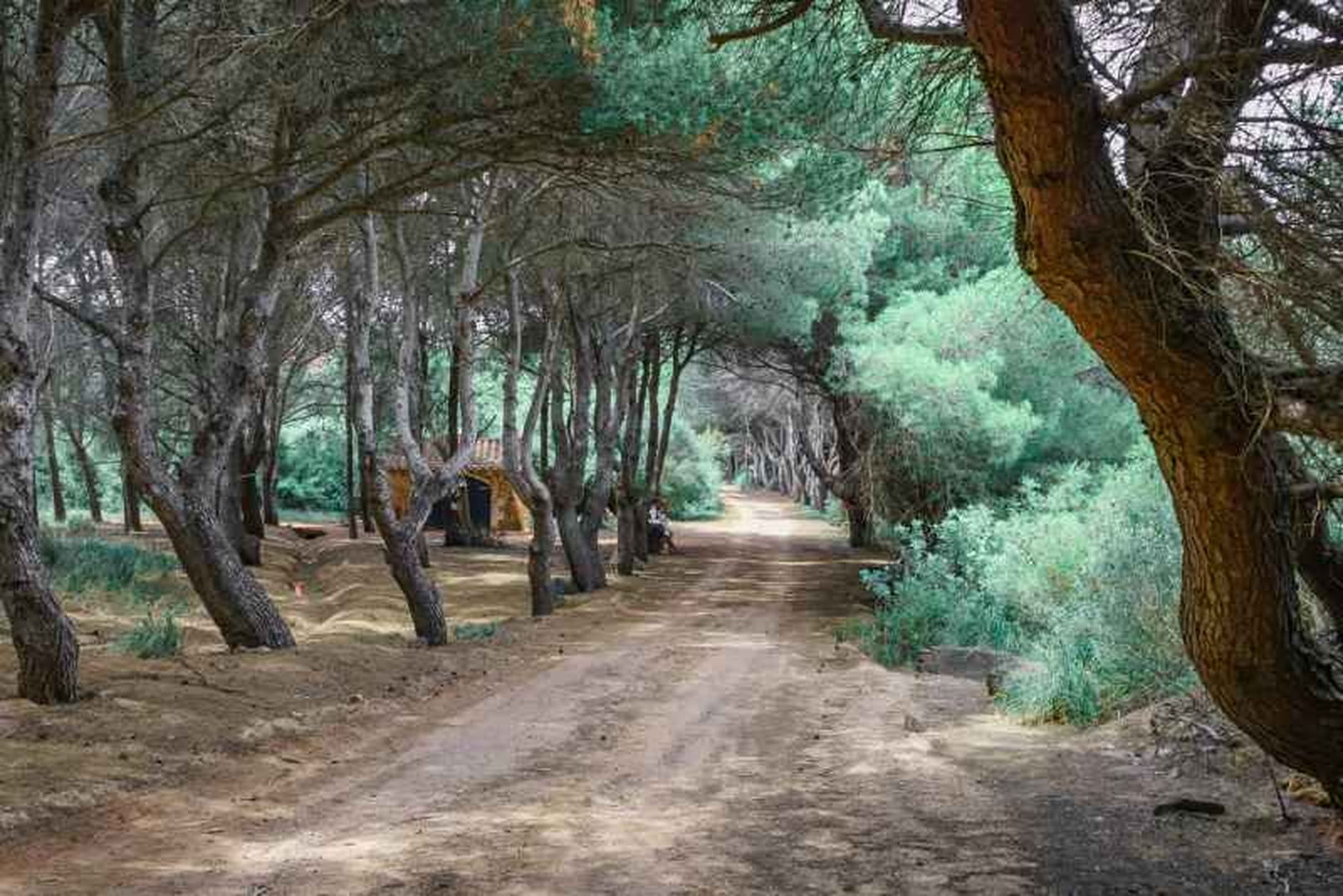 Camí de Cavalls en Menorca Camí de Cavalls en Menorca