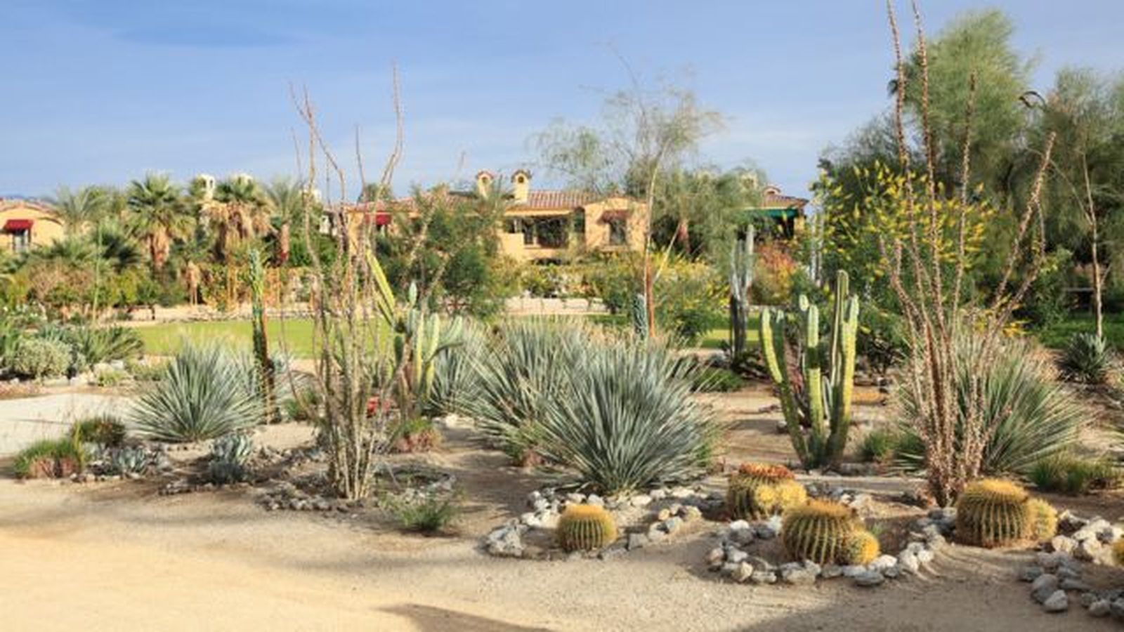 xerojardin que es xerojardin que es