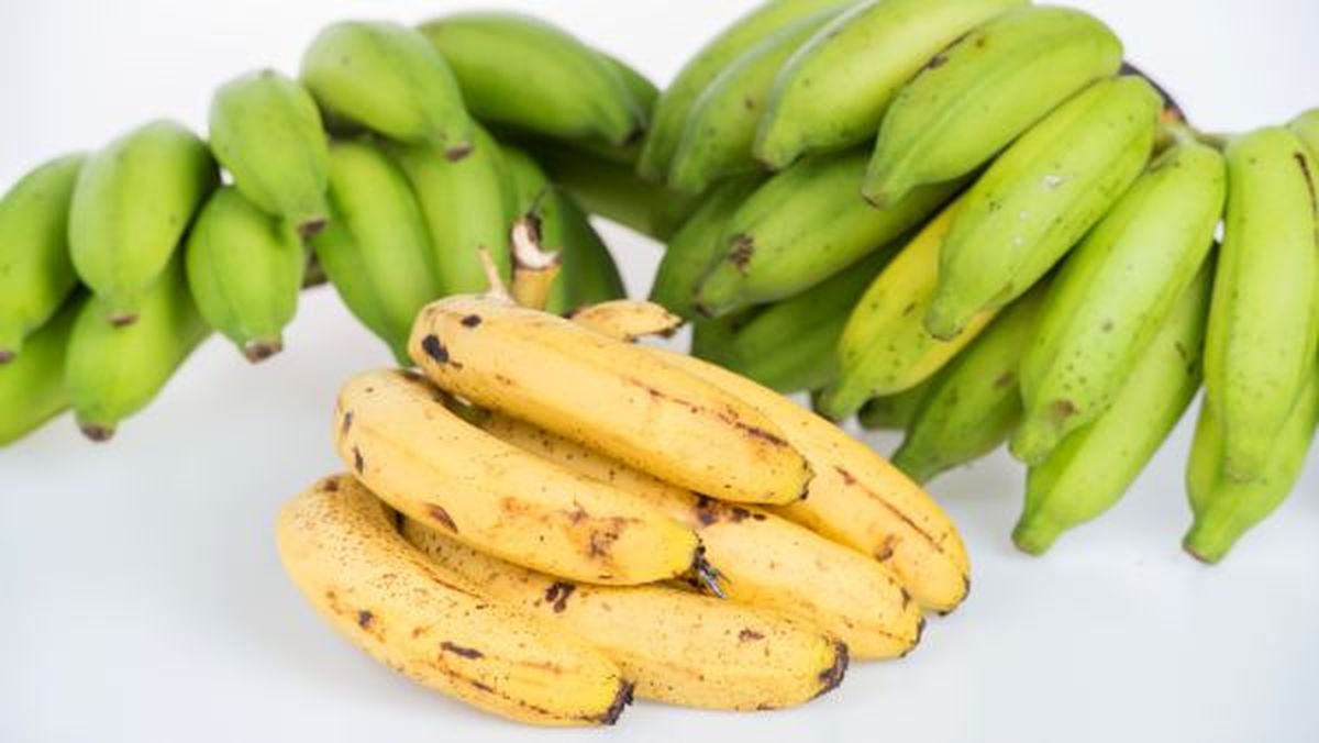 Plátanos hipertensión