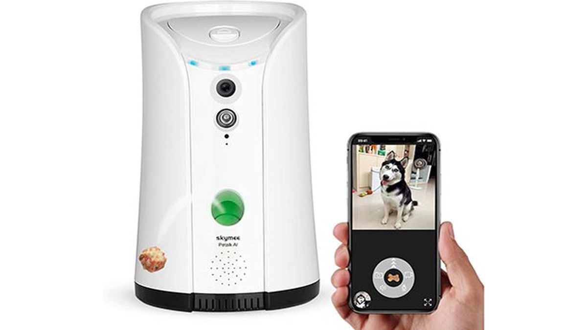 camara interactiva para perros