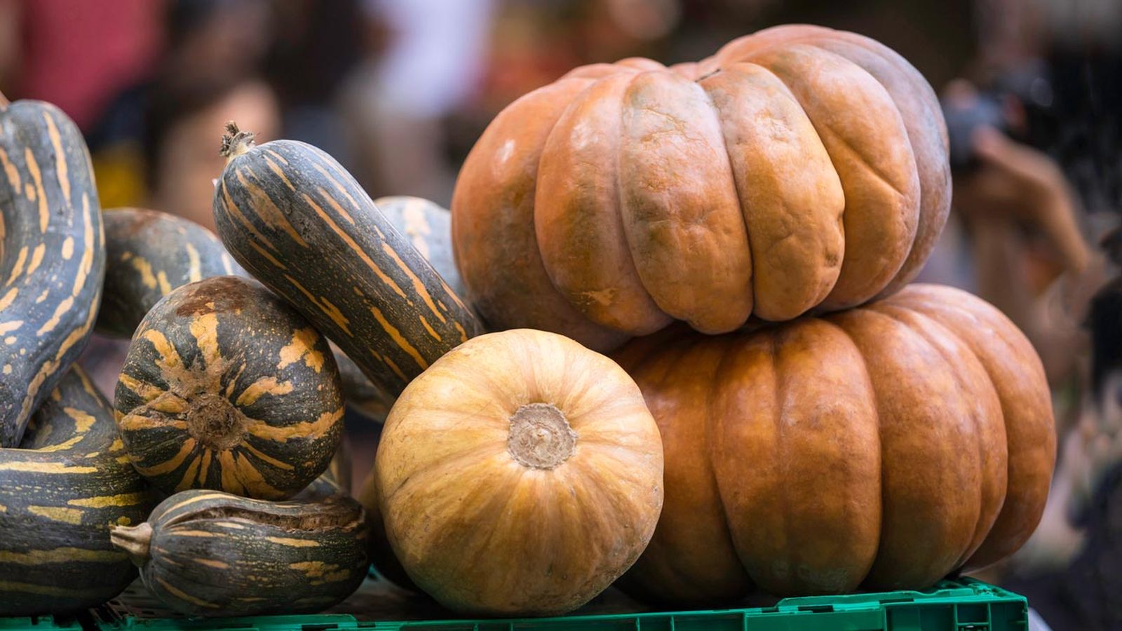 Técnica cómo asar calabaza en el microondas calabazas Técnica cómo asar calabaza en el microondas calabazas