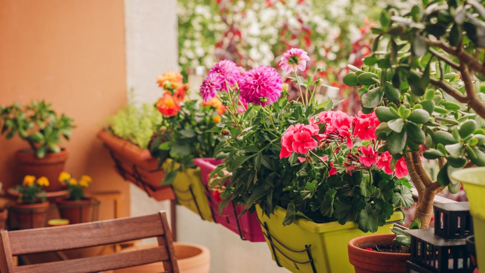 Flores coloridas en un balcón