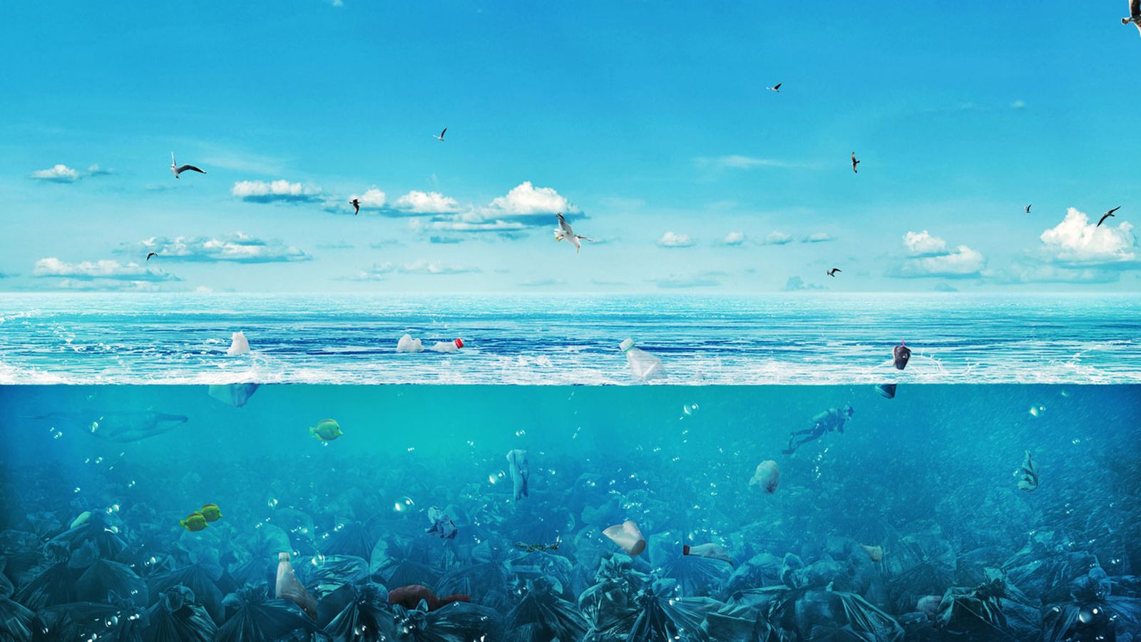 plastico mar plastico mar