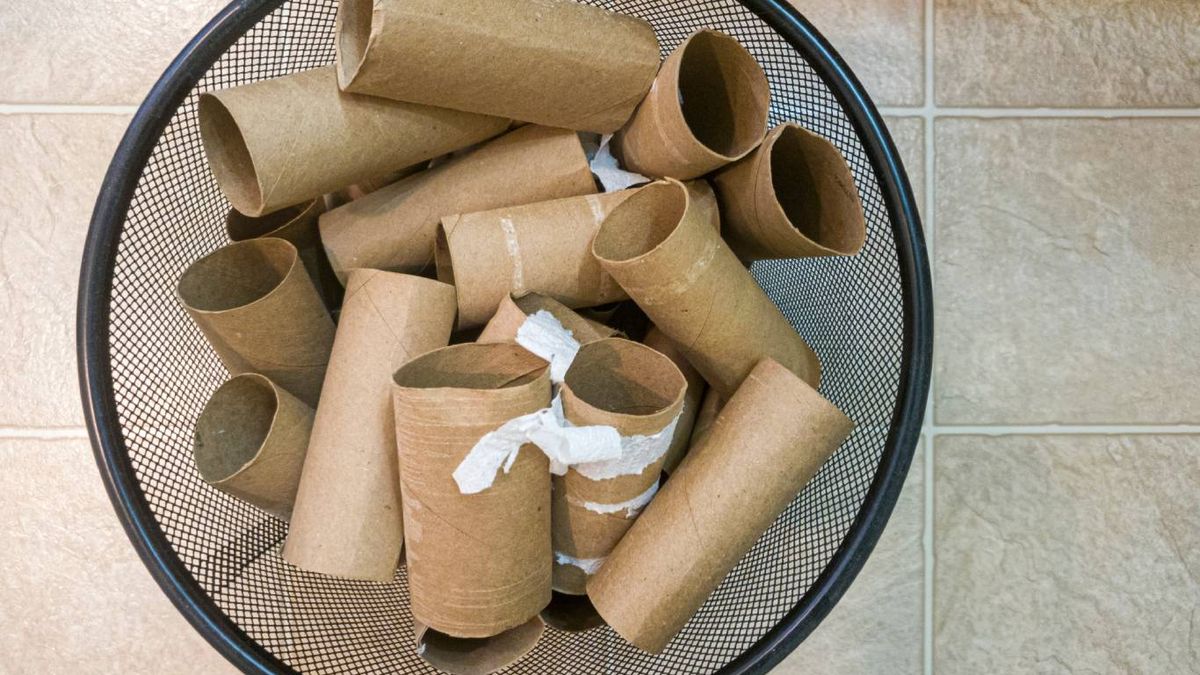 cómo montar tu mini huerto con rollos de papel higiénico