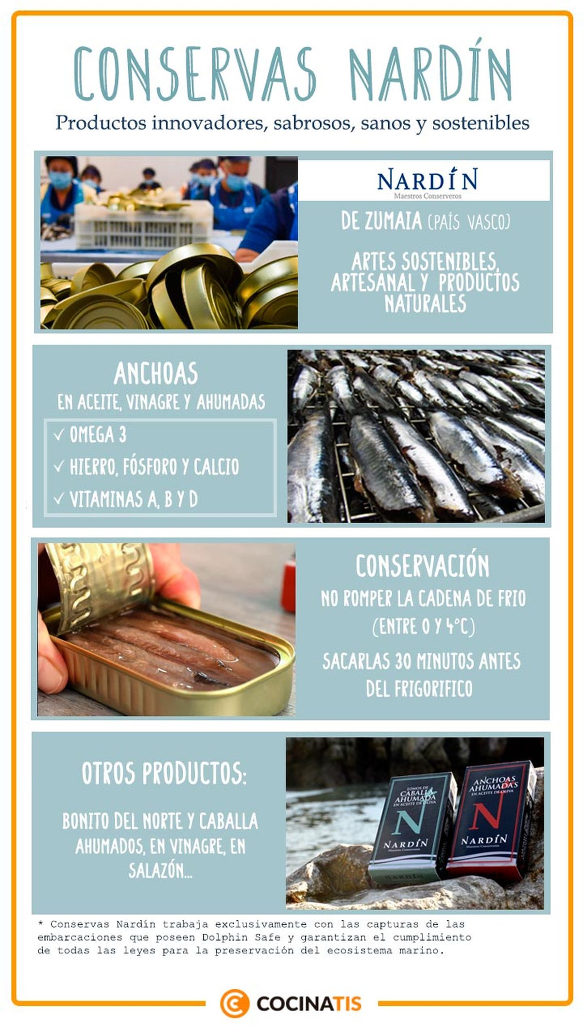 Infografía de Conservas Nardín