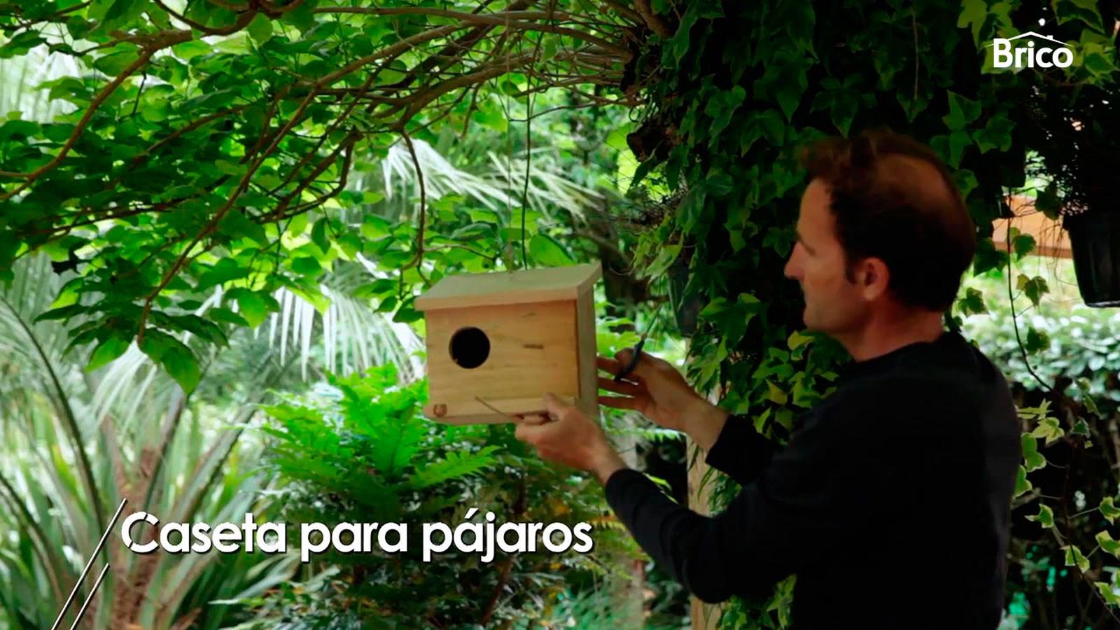 Cómo hacer una casita para pájaros paso 8 Cómo hacer una casita para pájaros paso 8