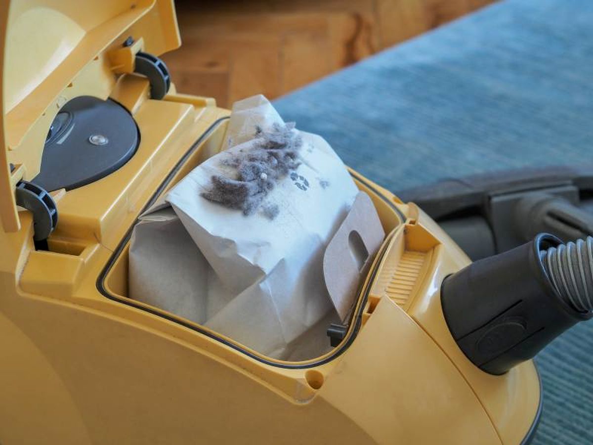 Bolsa de aspiradora de papel (no reutlizable)