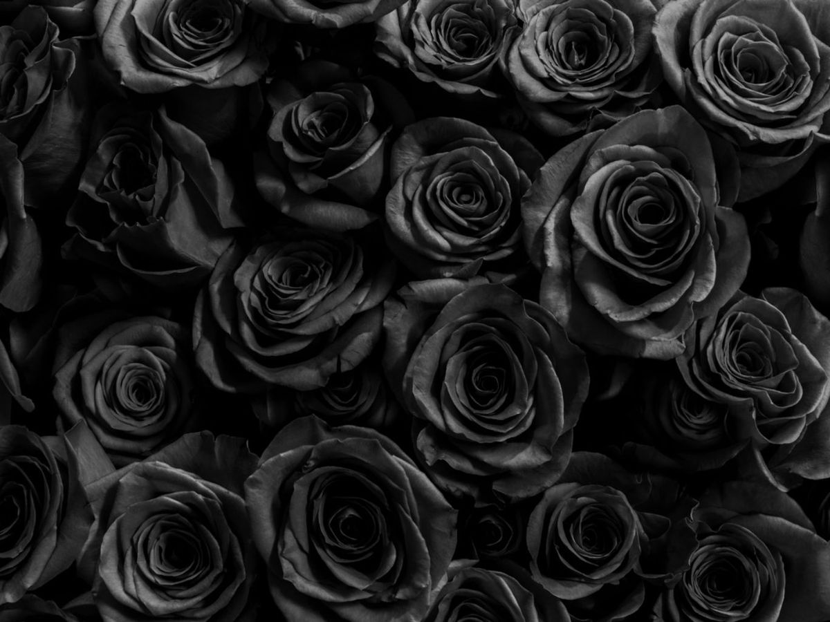 El color negro a menudo se asocia con la muerte, el luto y el dolor.