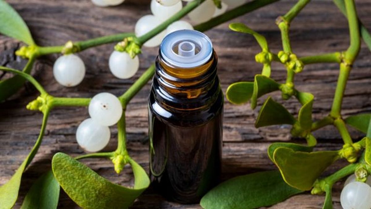 propiedades medicinales del muerdago