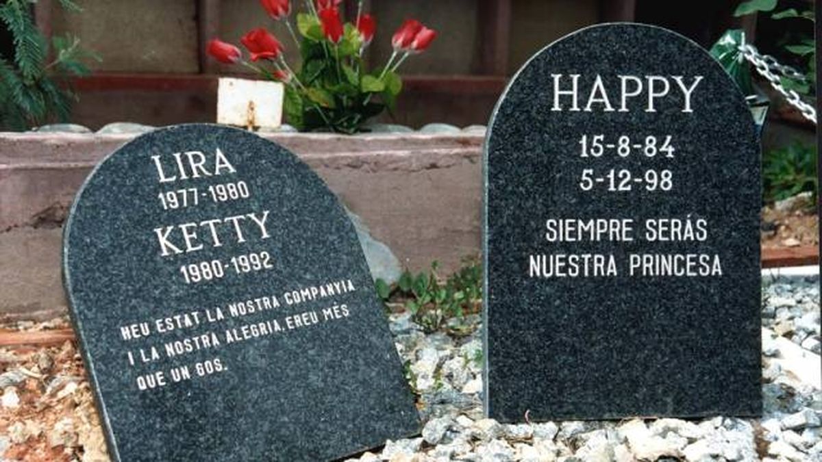 lapidas homenaje a mascotas pequenas cementerio barcelona