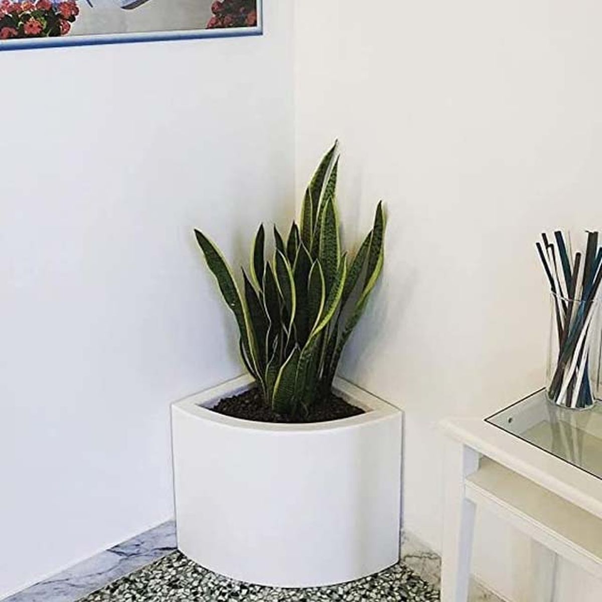 maceta esquinera kloris