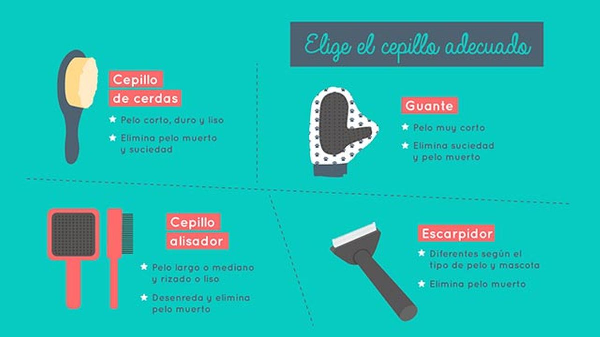 muda pelo mascotas cepillo