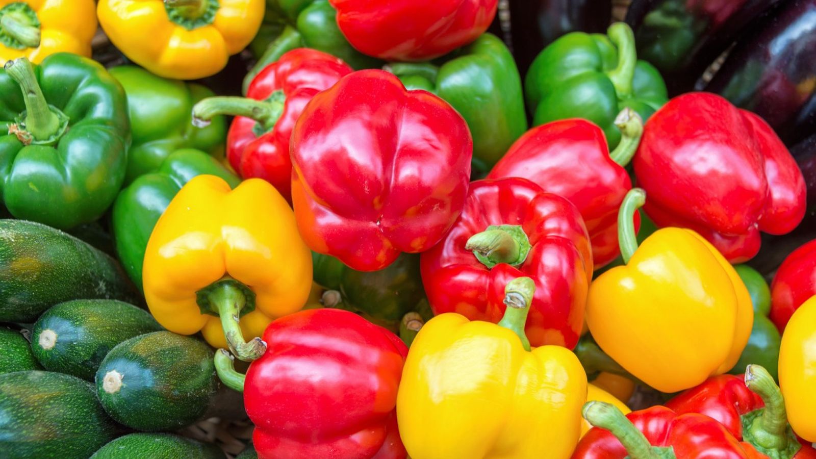 Descubre qué cuenta su color sobre la maduración, el sabor y cómo utilizarlos en la cocina