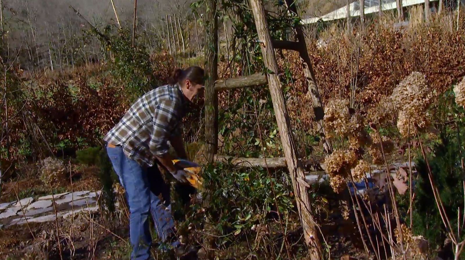Hacer una estructura para un rosal trepador paso 4 Hacer una estructura para un rosal trepador paso 4
