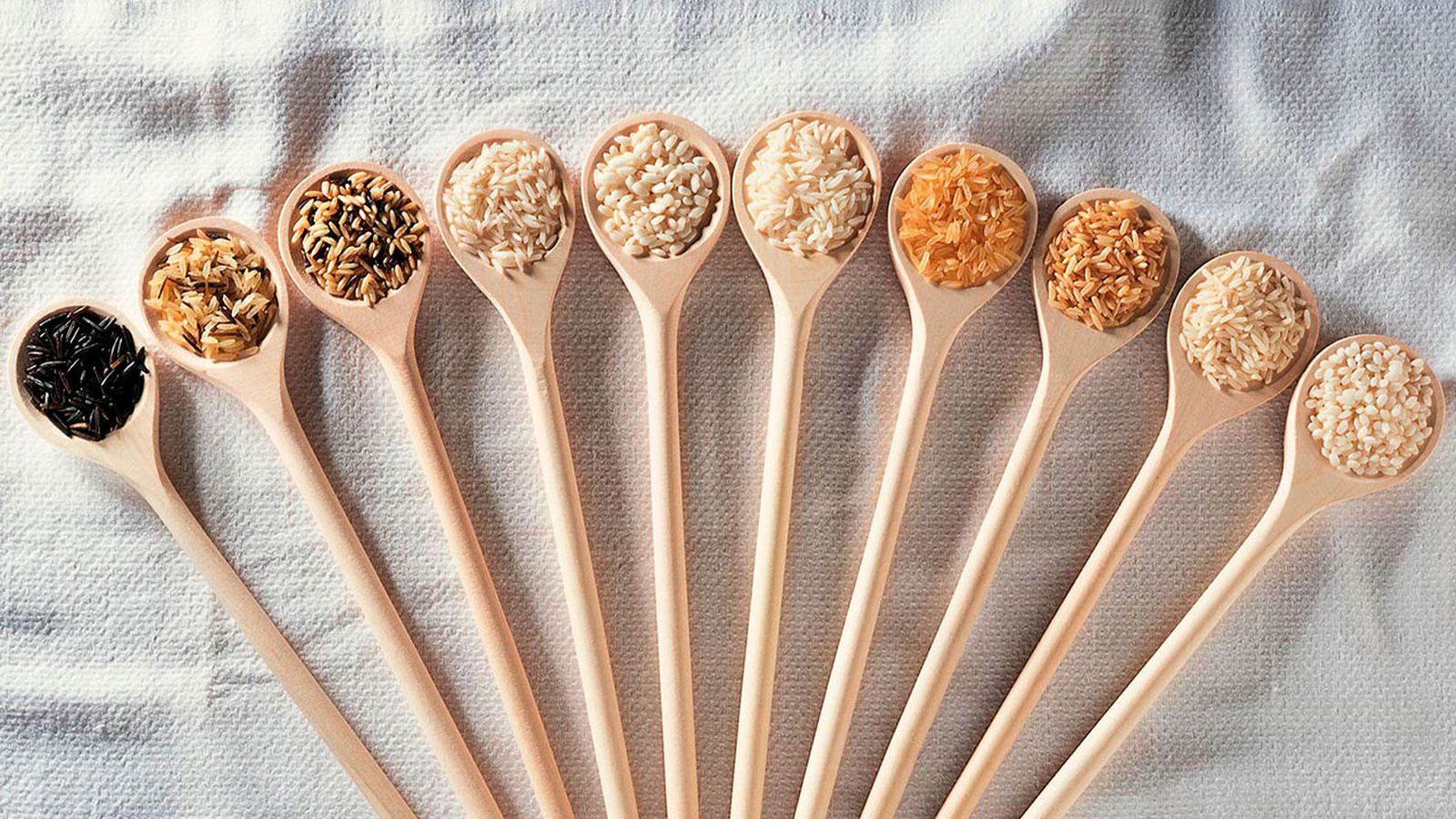 tipos de arroz xl