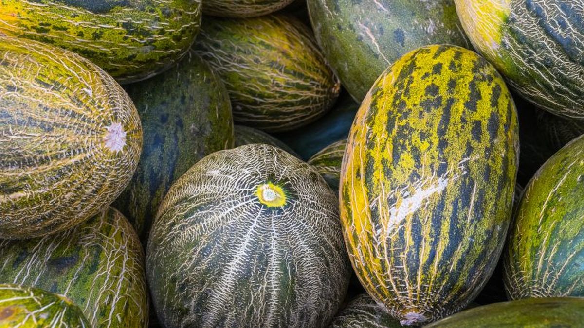 Melones amontonados