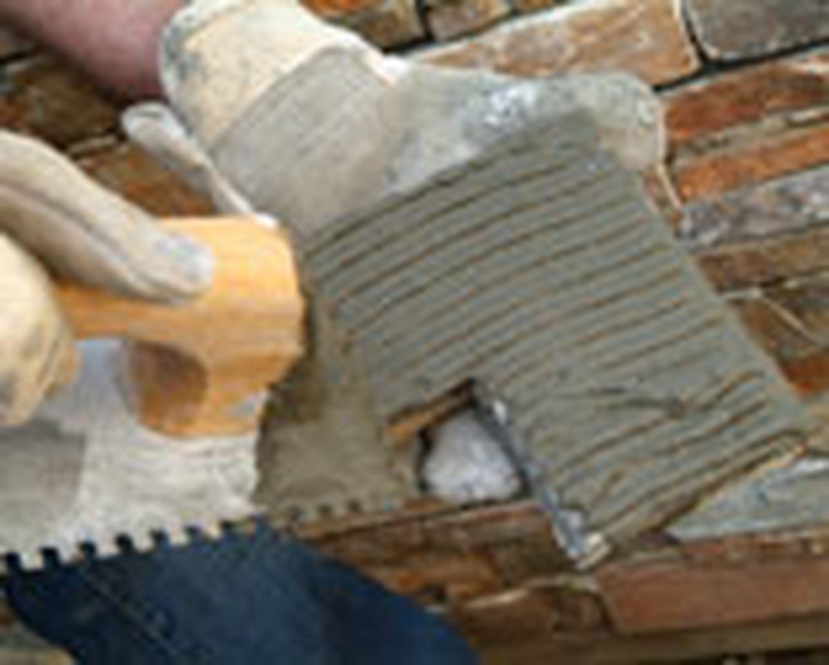 462 pied nat ext p21