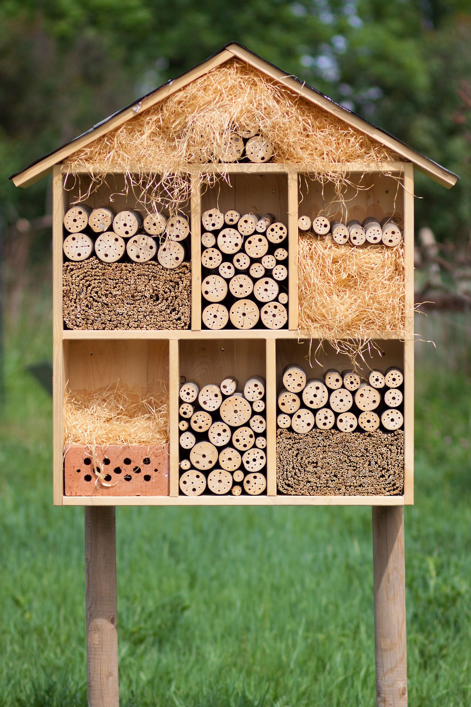 Hotel o hábitat para insectos beneficiosos