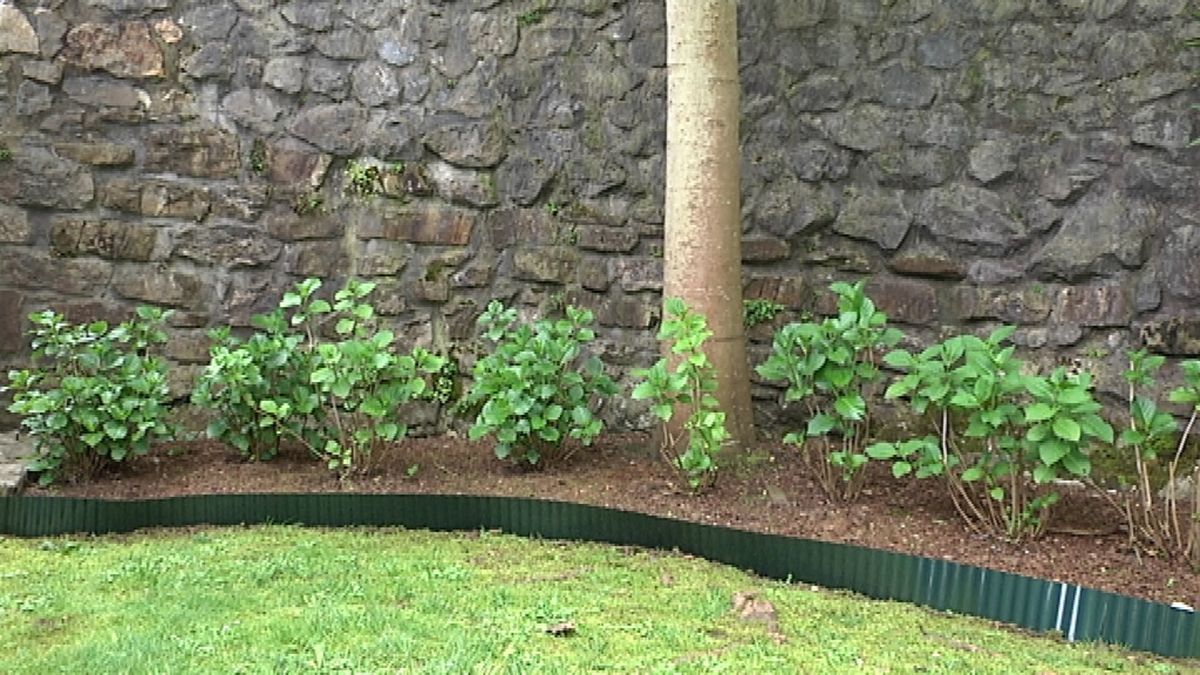 Borduras para césped paso 7