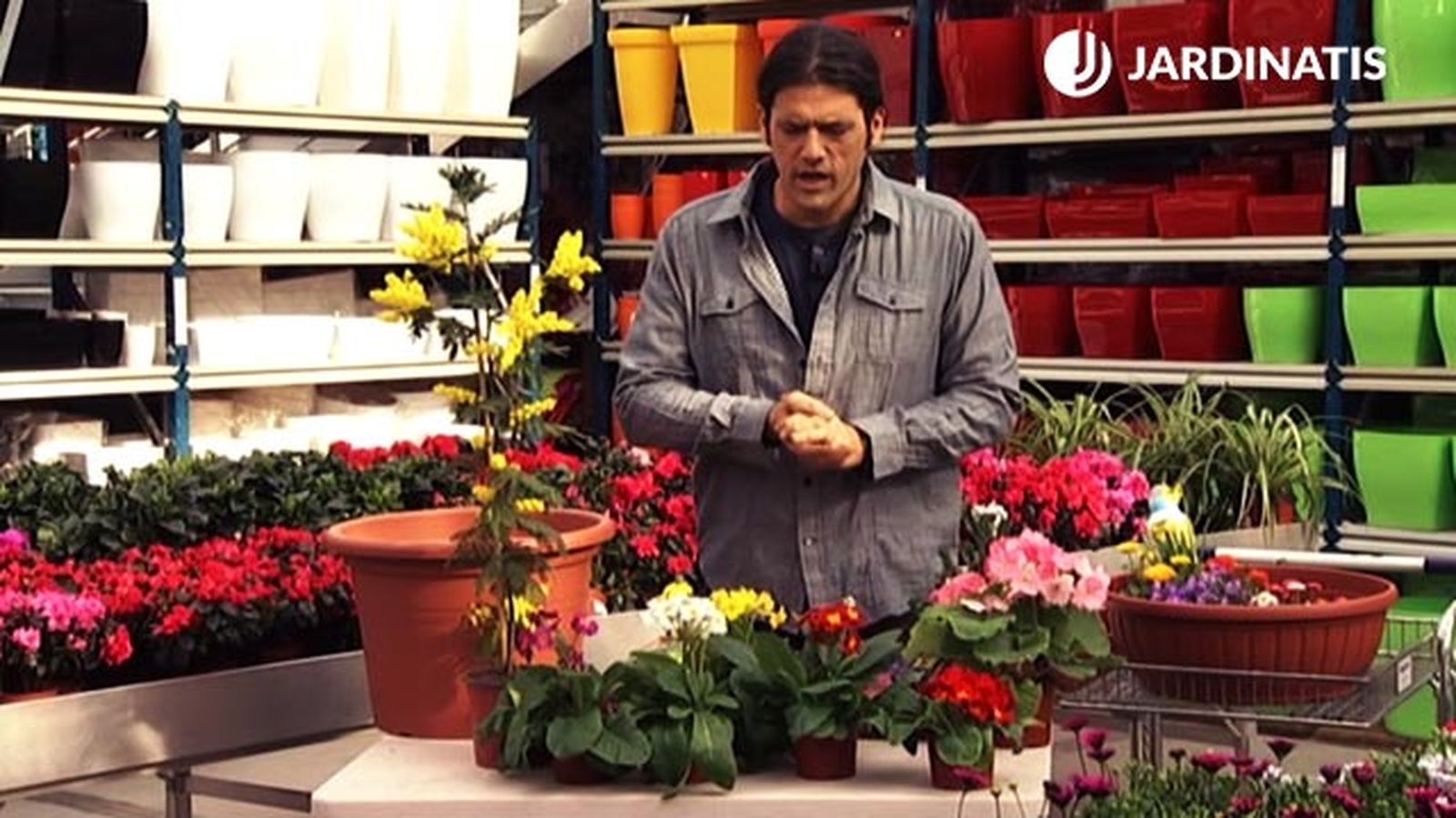 flores para principios primavera deco 425 jardin flores para principios primavera deco 425 jardin