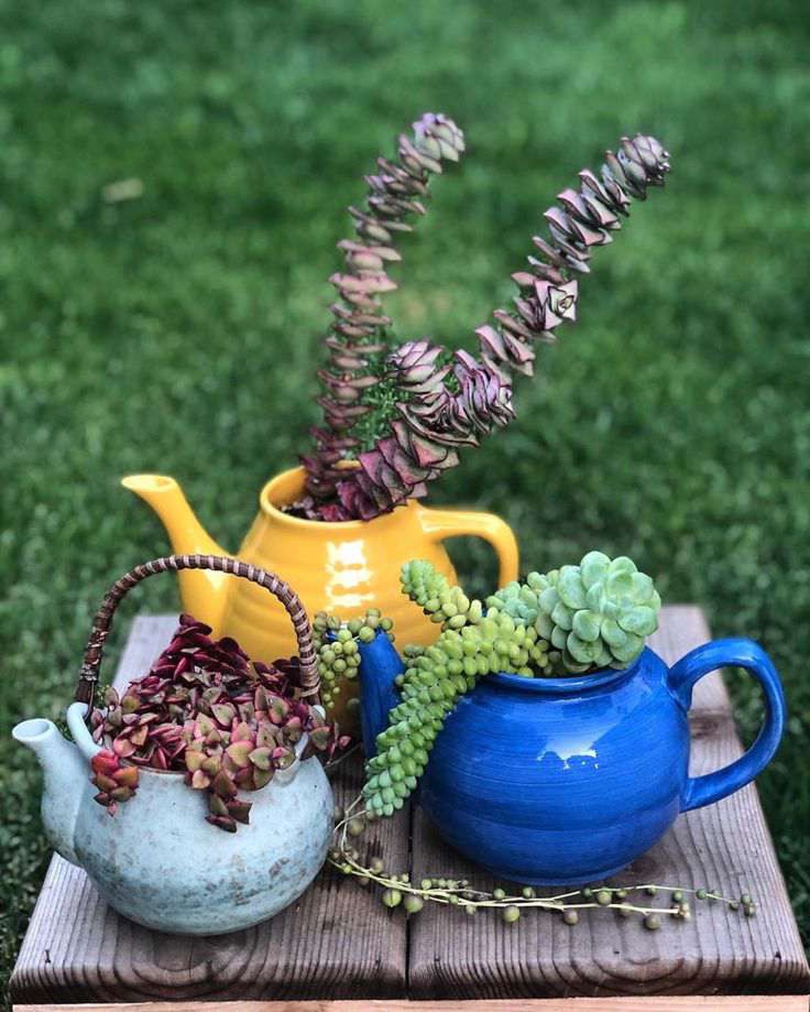 Escoge colores variados