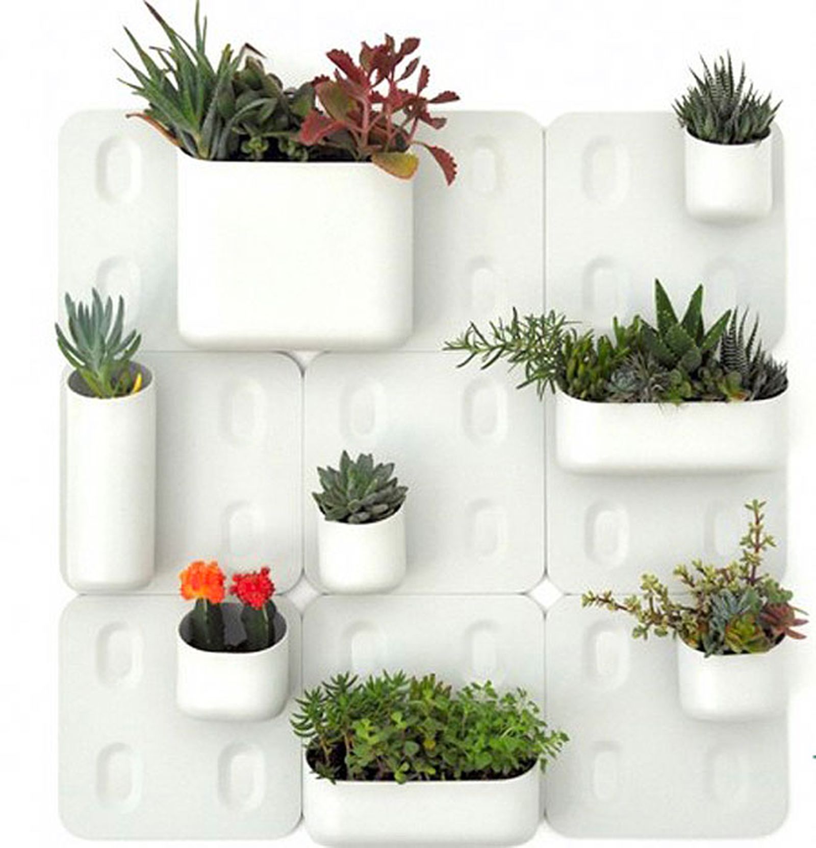 decoracion vegetal jardin interior 8 decoracion vegetal jardin interior 8