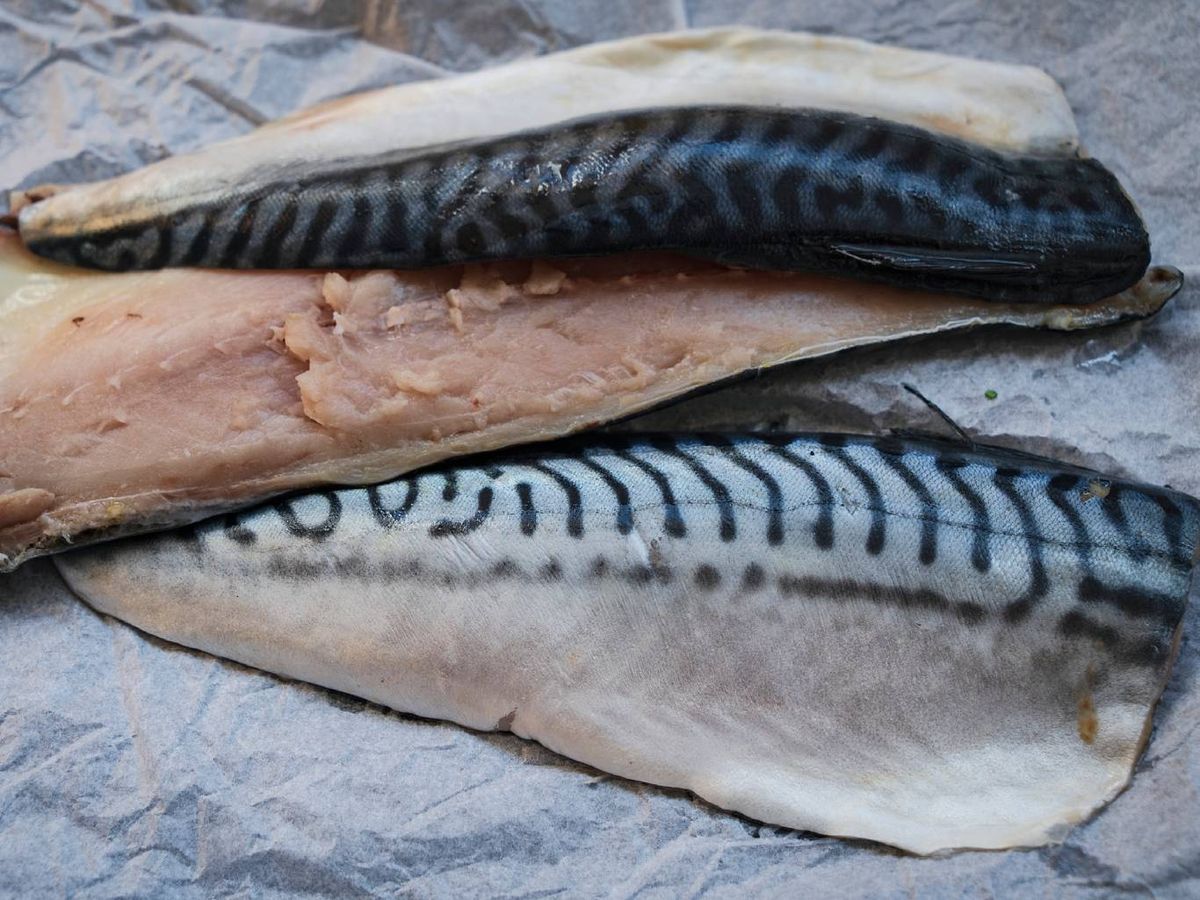 Para filetear caballa lo más recomendable es mantener la piel