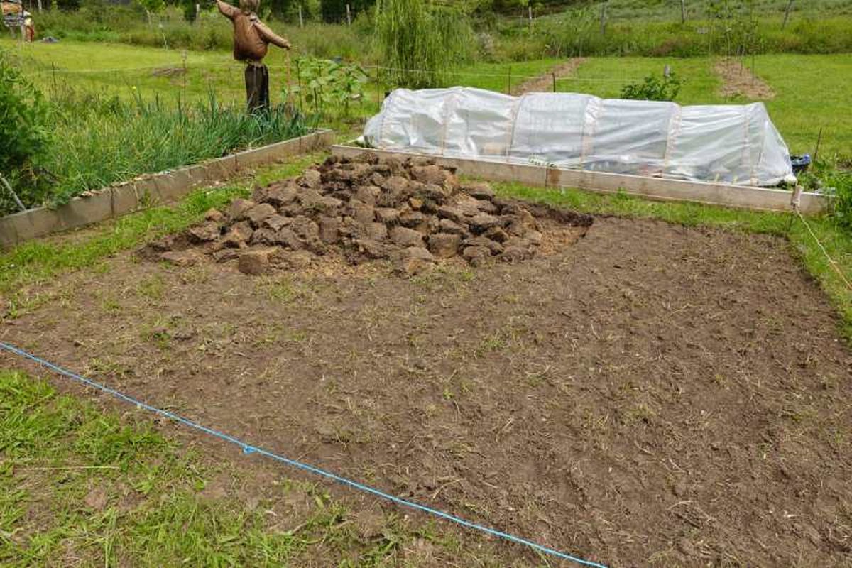 Escoge la ubicación, el tamaño y la forma.