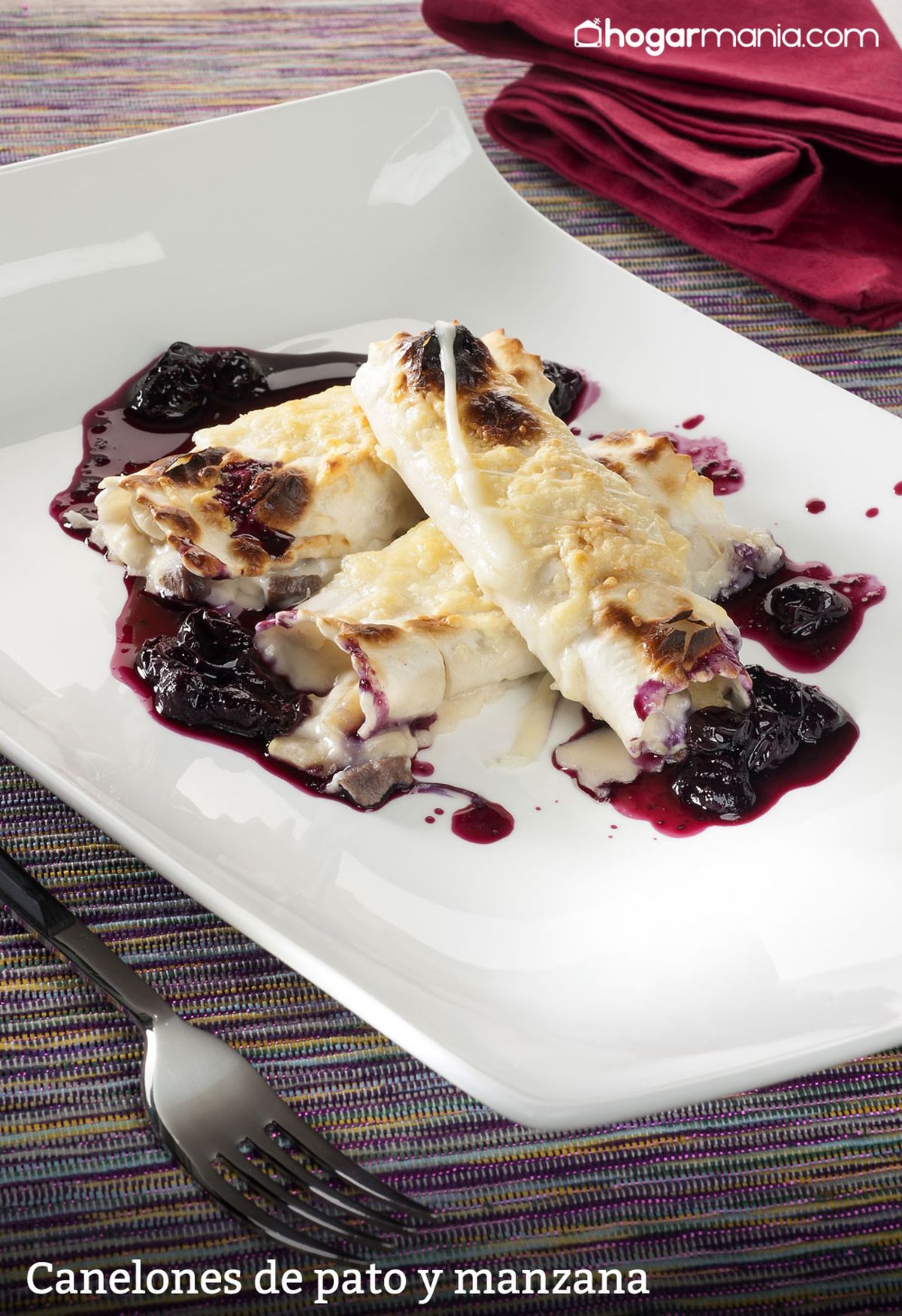 CABI0037 Amaia Canelones de pato y manzana vertical xl