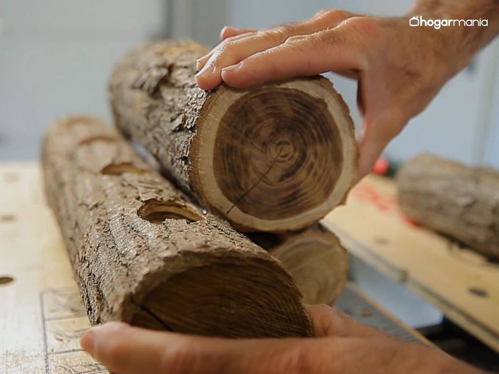 Pega el tronco superior