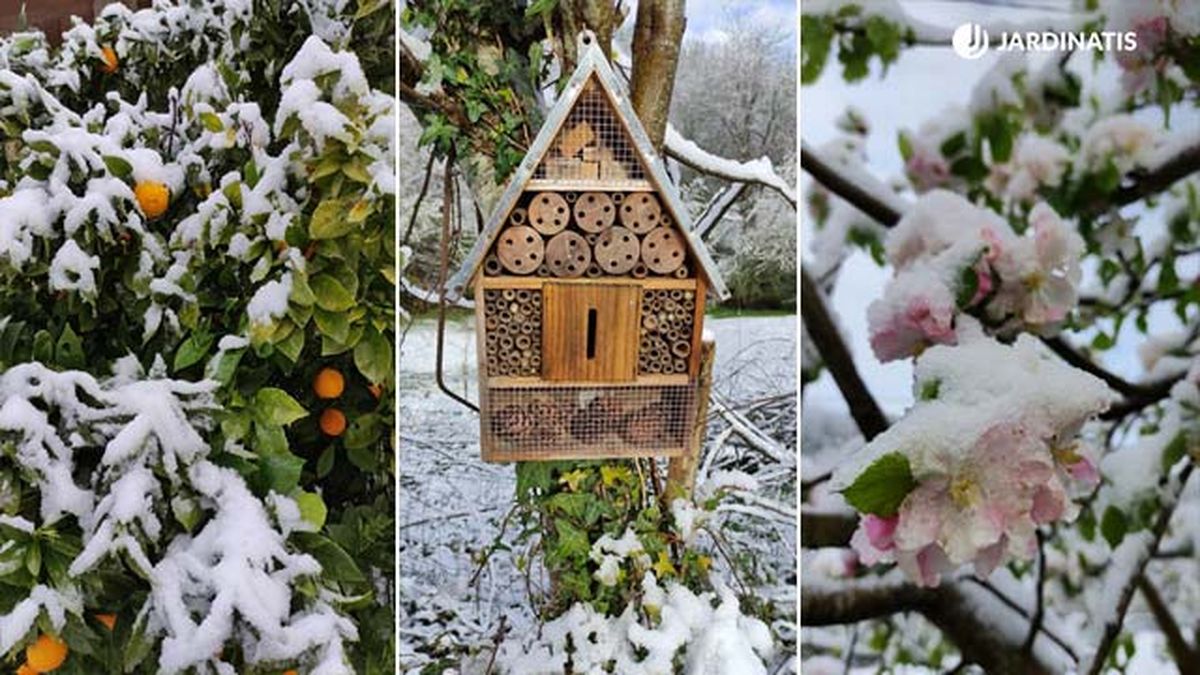 heladas tardias en primavera 2022 jardinatis