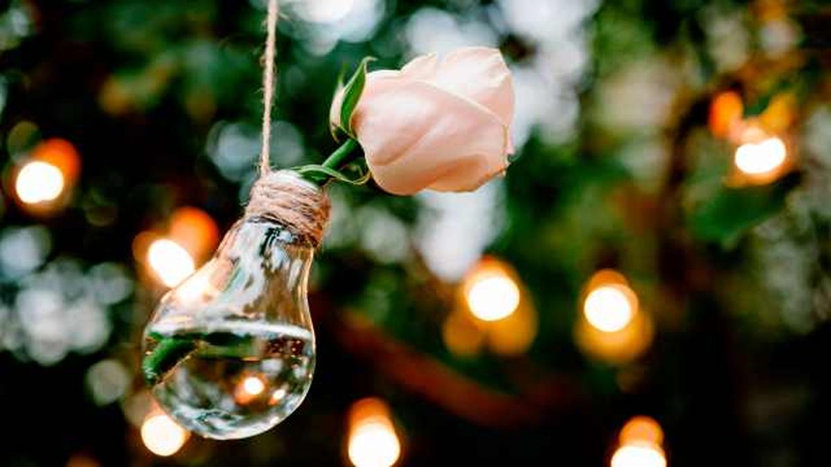 Reutilizar bombillas 1