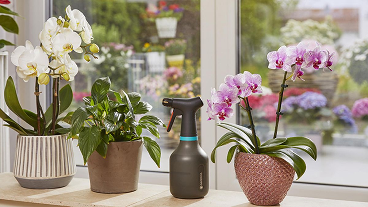 pulverizador para uso en plantas interior gardena