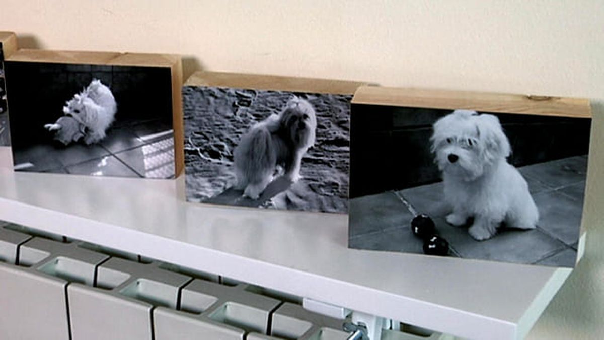 ideas para enmarcar cuadros 3