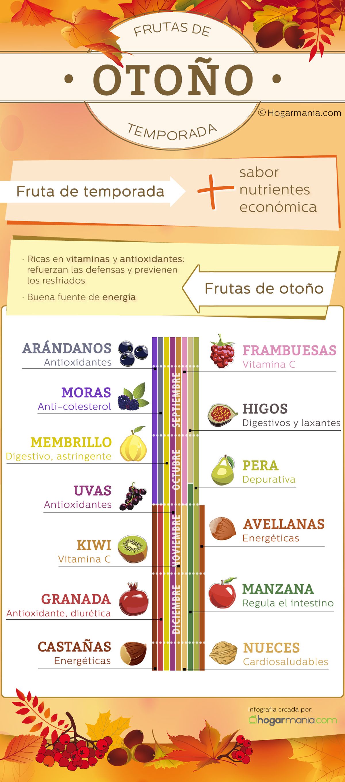 frutas otono infografia