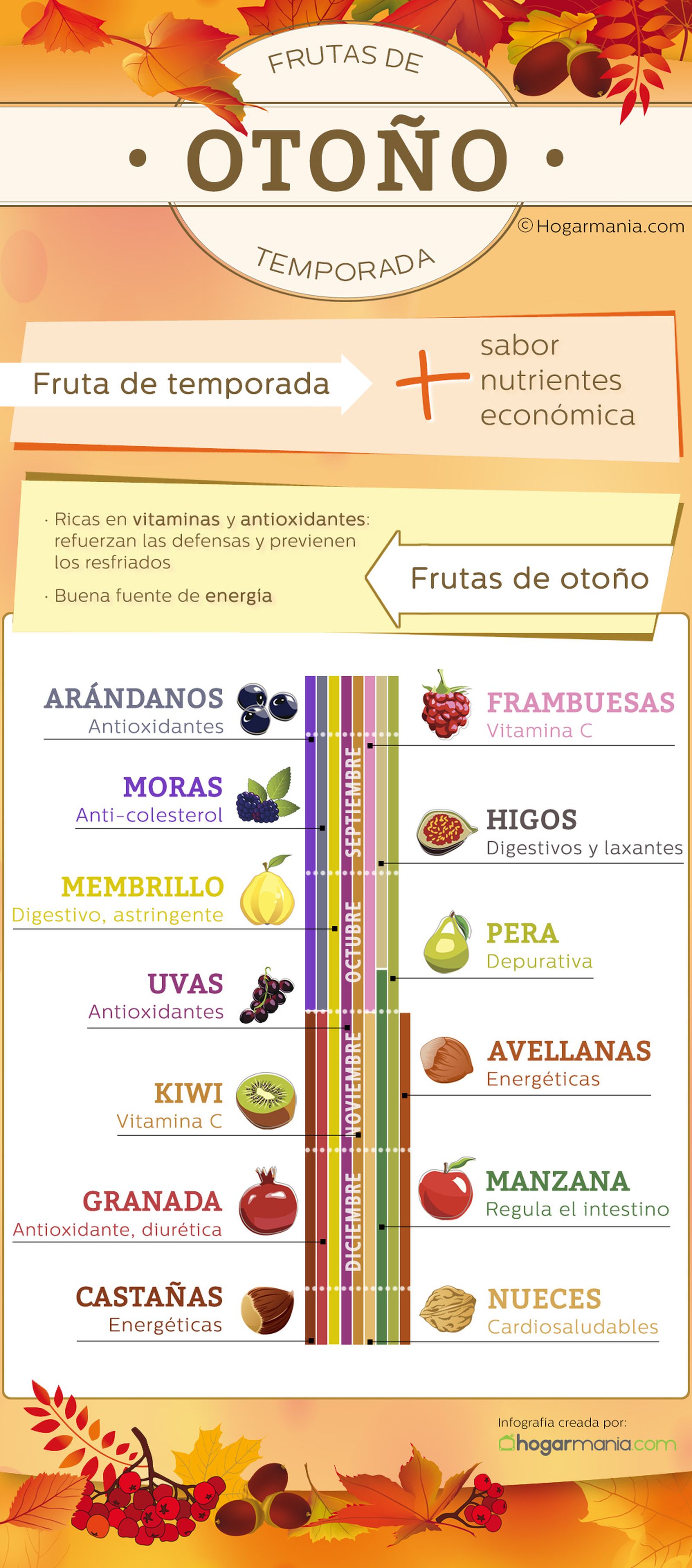 frutas otono infografia frutas otono infografia